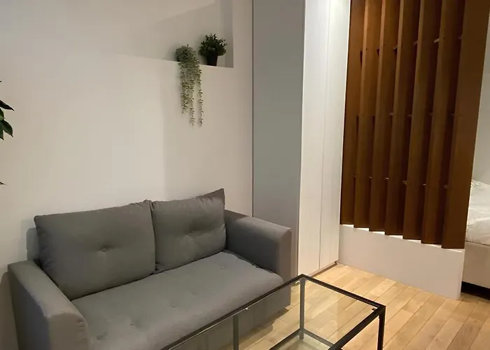 Joli Au Cœur De Appartement Paris